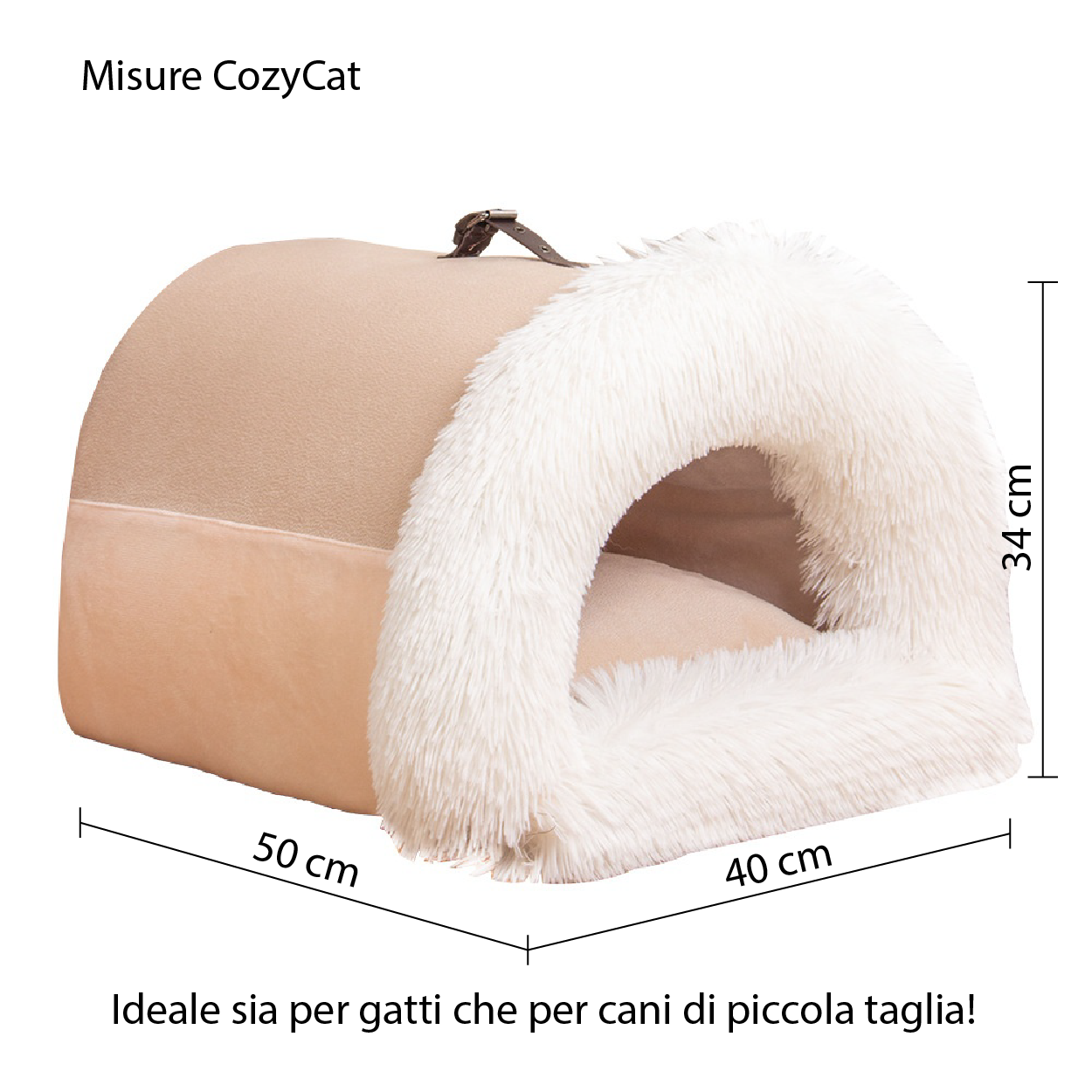 CozyCat - lusso e comfort